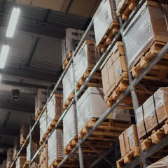 Collection image for: N.Erythrea Warehouse