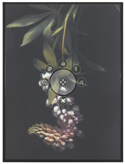 Herbarium