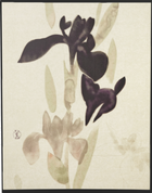 Hana No Nama I