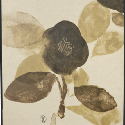 Hana No Nama II