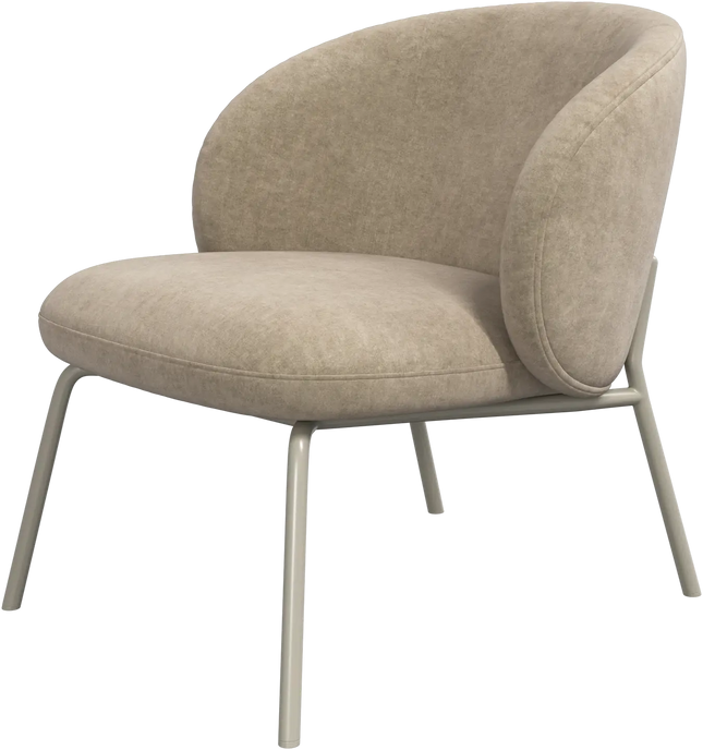 Princeton - HomeDesigns