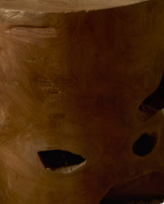 Tropicana - HomeDesigns