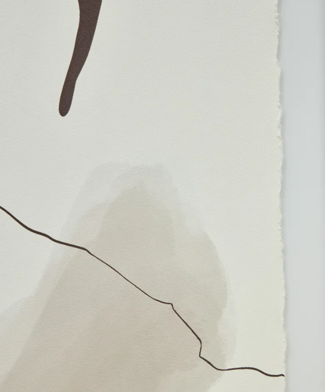 Torroella - HomeDesigns