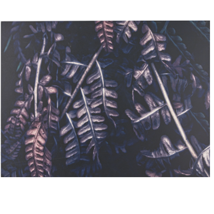 Dark forest - HomeDesigns