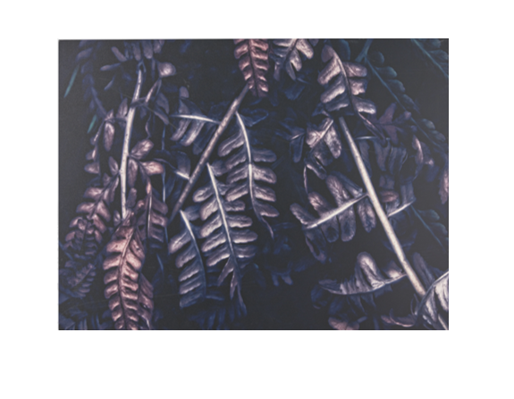 Dark forest - HomeDesigns