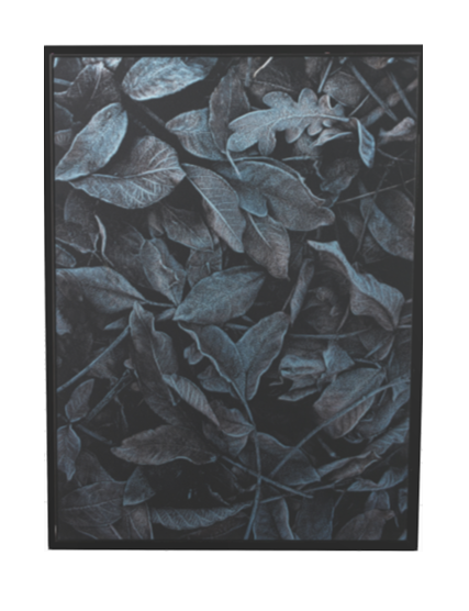 Nightfall - HomeDesigns