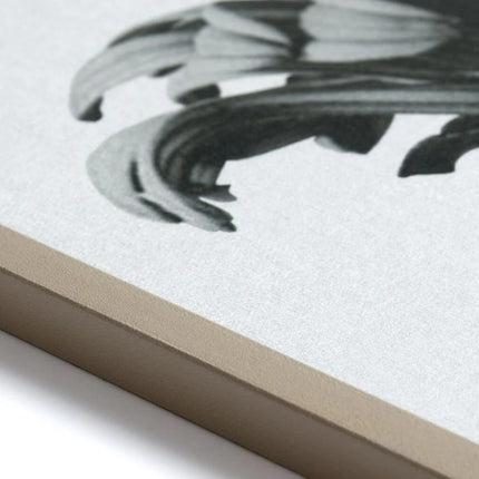 Forms in nature - HomeDesigns