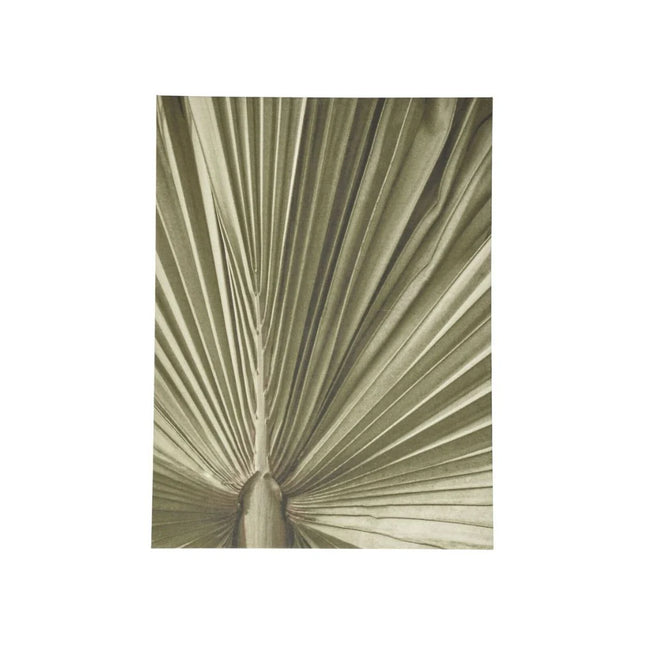 Palm Leaf
