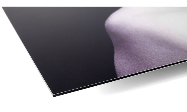 Black Swan - HomeDesigns