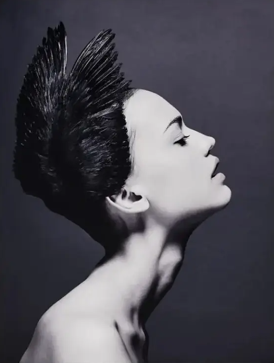 Black Swan - HomeDesigns