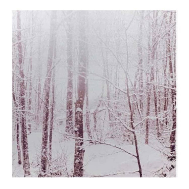 WHITE FOREST - LifeConcept Outlet